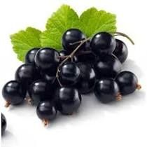 Ovocný džem od Sedmikrásky - Černý rybíz jednodruhové ovoce, bez přídavků jablek apod., poměr ovoce : cukr - 2:1, s přídavkem vitamínu C. 520 ml Rodinná farma Sedmikráska