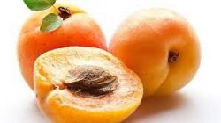 Ovocný džem od Sedmikrásky - Meruňka jednodruhové ovoce, bez přídavků jablek a pod., Poměr ovoce: cukr - 2: 1, s přídavkem vitamínu C. 520 ml