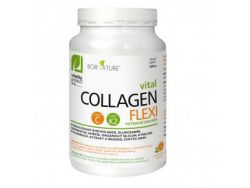 Collagen FLEXI se směsí bylin, Glukosaminem, chondroitinem, vit. C a K2 300 g.  FLEXI doplněk stravy na bázi kolagenu, glukosaminu, chondroitinu, hořčíku, vitaminu, bylin a kyseliny hyaluronový. Pomerančové aroma.