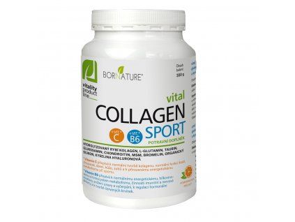 Collagen SPORT - doplněk stravy na bázi kolagenu, glukosaminu, chondroitinu, MSM, hořčíku, vitaminu, bylin a kyseliny hyaluronový. Pomerančové aroma. 300 g